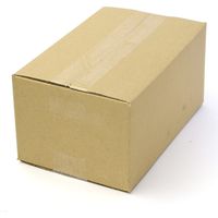 ササガワ パック入カラー荷札 大 赤 一穴 25-73131 1袋(200枚入)