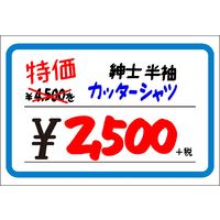 ササガワ ショーカード 大 ブルー枠¥入り 17-5349 1冊(50枚)