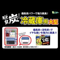 脱臭炭 冷蔵庫用 大型 強力タイプ 脱臭剤 置き型 キムチ・ニンニク臭にも効く 1セット（1個×10）エステー