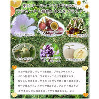 ナチュリア プロステージ VC100 ビタミンC モイスチャーゲル リッチ 200g 1個(200g入)（直送品）