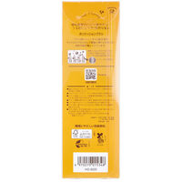 池本刷子工業 デュボア ハニー成分配合 ポリクッションブラシ HO-600 1本（直送品）