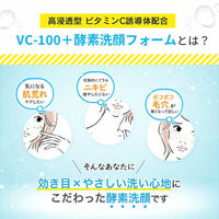 StayFree アイサム VC-100 クリアブライト 酵素洗顔フォーム 150g FVS-TU-158 1本(150g入)（直送品）