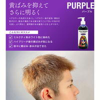 ハッピーバース トリプルレインボー カラーシャンプー パープル 300mL 4582563811102 1本(300mL入)（直送品）