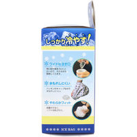日進医療器 リーダー 発熱スッキリ 氷のう 小さめサイズ 4955574826067 1個（直送品）