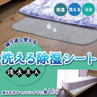 iiもの本舗 洗える除湿シート 備長炭入 ダブルサイズ 130×180cm グレー 4589596694252 1枚（直送品）