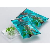 北見ハッカ通商 北見ハッカ チョコミント キャンディー 170g 2030 1袋(170g入)（直送品）