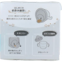 リッチェル アスター おうちコップマグ 直飲みタイプ ライトブルー 4945680204620 1個（直送品）