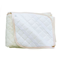 iiもの本舗 防水敷きパッド シングル 100×205cm ベージュ 4589596693934 1枚（直送品）