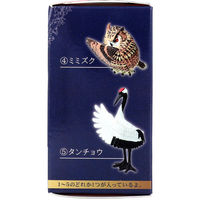 エール フィギュア 執事 BOX 4589469849741 1個（直送品）