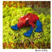シルバーバック 危険生物シリーズ 128パーツのブロックでつくる! イチゴヤドクガエル 9784861488153 1個（直送品）