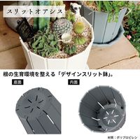 【園芸用品】アップルウェアー スリット オアシス 5号 ダークグレー 1個