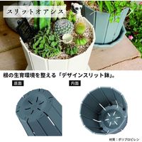 【園芸用品】アップルウェアー スリット オアシス 6号 ダークグレー 1個