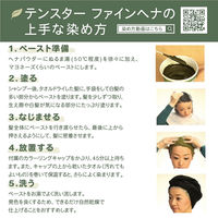 テンスター ファインヘナ ダークブラウン 80g（40g×2パック） 1個 三宝 ヘナ 白髪染め