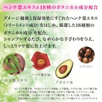 テンスター カラーシャンプー ダークブラウン ポンプ 300ml 三宝