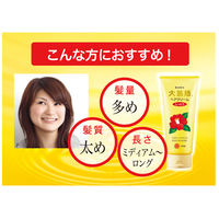 大島椿 ヘアクリーム しっとり 160g 大島椿