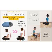 バランスクッション 青い鳥 1個 FUJIEI エクサイズ カバー付き 骨盤矯正 体幹トレーニング デスクワーク 動物柄 かわいい