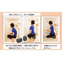 ソフト 正座クッション ハリネズミ 1個 FUJIEI エクサイズ カバー付き まくら 足置き 姿勢矯正 背筋が伸びる 動物柄 かわいい