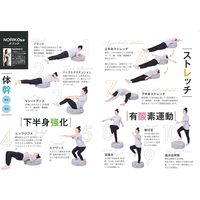 Gym terior トランポリンクッション 青い鳥 1個 FUJIEI エクササイズ カバー付 運動不足解消 体幹トレーニング 動物柄 かわいい