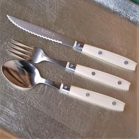 ライヨール ビストロカトラリー コレクション ステーキナイフ アイボリ 白箱 4310082 1本（直送品）