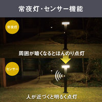ムサシ ガーデンソーラーセンサーライト2W丸型 ブラック GL-S100BK 1台