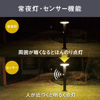 ムサシ ガーデンソーラーセンサーライト5W丸型 ブラック GL-S110BK 1台