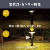 ムサシ ガーデンソーラーセンサーライト7.5W角型 ブラック GL-S120BK 1台