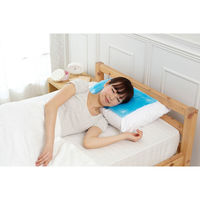 ユーザー U-R281 涼感ジェルマット ECO 枕 1枚（直送品）