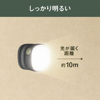 ムサシ 充電式 護衛さんライト チャコールグレー WRC-14CG 1個