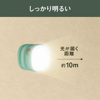ムサシ 充電式 護衛さんライト ニュアンスグリーン WRC-13NG 1個