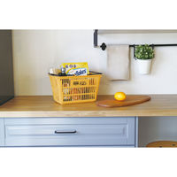 錦化成 スヌーピー ミニエコバスケット1 マンゴー なし 1個