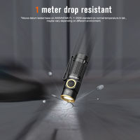 Nicron ポケットフラッシュライト C1 1箱（直送品）