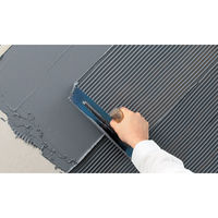 セメダイン タイルエース Pro ホワイト MP2kg RE-459 1個