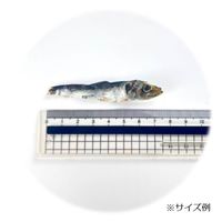 カルペット 無添加 減塩 おやつにぼし 犬猫用 国産 100g 1袋 秋元水産 犬 猫 おやつ