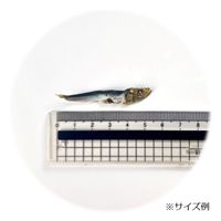 カルペット 無添加 減塩 こざかなにぼし 犬猫用 国産 35g 1袋 秋元水産 犬 猫 おやつ