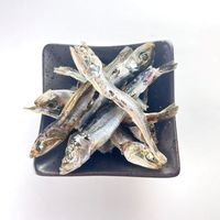 カルペット 無添加 減塩 おやつにぼし 犬猫用 国産 100g 1セット（1袋×3）秋元水産 犬 猫 おやつ