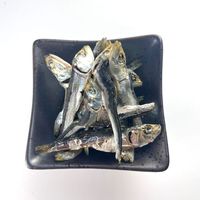 カルペット 無添加 おやつにぼし 犬猫用 国産 120g 1セット（1袋×3）秋元水産 犬 猫 おやつ