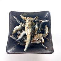 カルペット 無添加 減塩 こざかなにぼし 犬猫用 国産 35g 1セット（1袋×3）秋元水産 犬 猫 おやつ