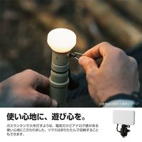 LED ランタン NESTOUT アウトドアバッテリー 専用ギア ブラック DE-NEST-GFL01BK エレコム 1個（直送品）