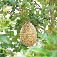 【虫よけ】 高芝ギムネ製作所 ハチの巣される前に ハチの巣ガード M-45 1個