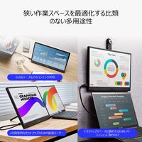 ASUS 15.6インチモバイルモニター ZenScreen MB166CR 1台