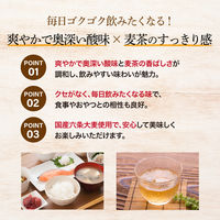 【機能性表示食品】富永貿易 神戸居留地 かろやか胡麻麦茶 500ml 1セット（48本）