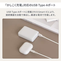 オウルテック USB Type-C入出力 PD30W対応 10000mAh モバイルバッテリー OWL-LPB10020-WH 1個