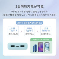 オウルテック Type-C 入出力対応 10000mAh 小型軽量モバイルバッテリー OWL-LPB10012-SAG 1個