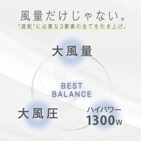 ヘアドライヤー プロテクトイオン 大風量 大風圧 ハイパワー1300W 業務用 TID2400B-W/E テスコム 1個（直送品）