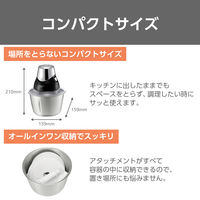 フードプロセッサー ステンレスボトル コンパクト 1台5役 オールインワン収納 シルバー TK2000 S テスコム 1個