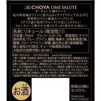 チョーヤ梅酒 ザ・チョーヤ 梅サルーテ 5度 750ml 1セット（1本×6） スパークリング梅酒
