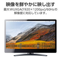 エレコム 変換アダプタ DisplayPort to VGA （ミニD-Sub15pin） AD-DPVGABK2 1個（直送品）