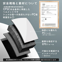 ロックブロス シールド付き軽量ヘルメット(WT-018S-TI)チタン WT-018S-TI 1個 4570122013210（直送品）