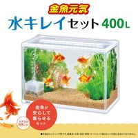 金魚元気 ぶくぶく 水キレイセット L 1台 ジェックス