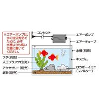 おさかな飼育セット ミニ ロカボーイ 1セット（1個×3）ジェックス